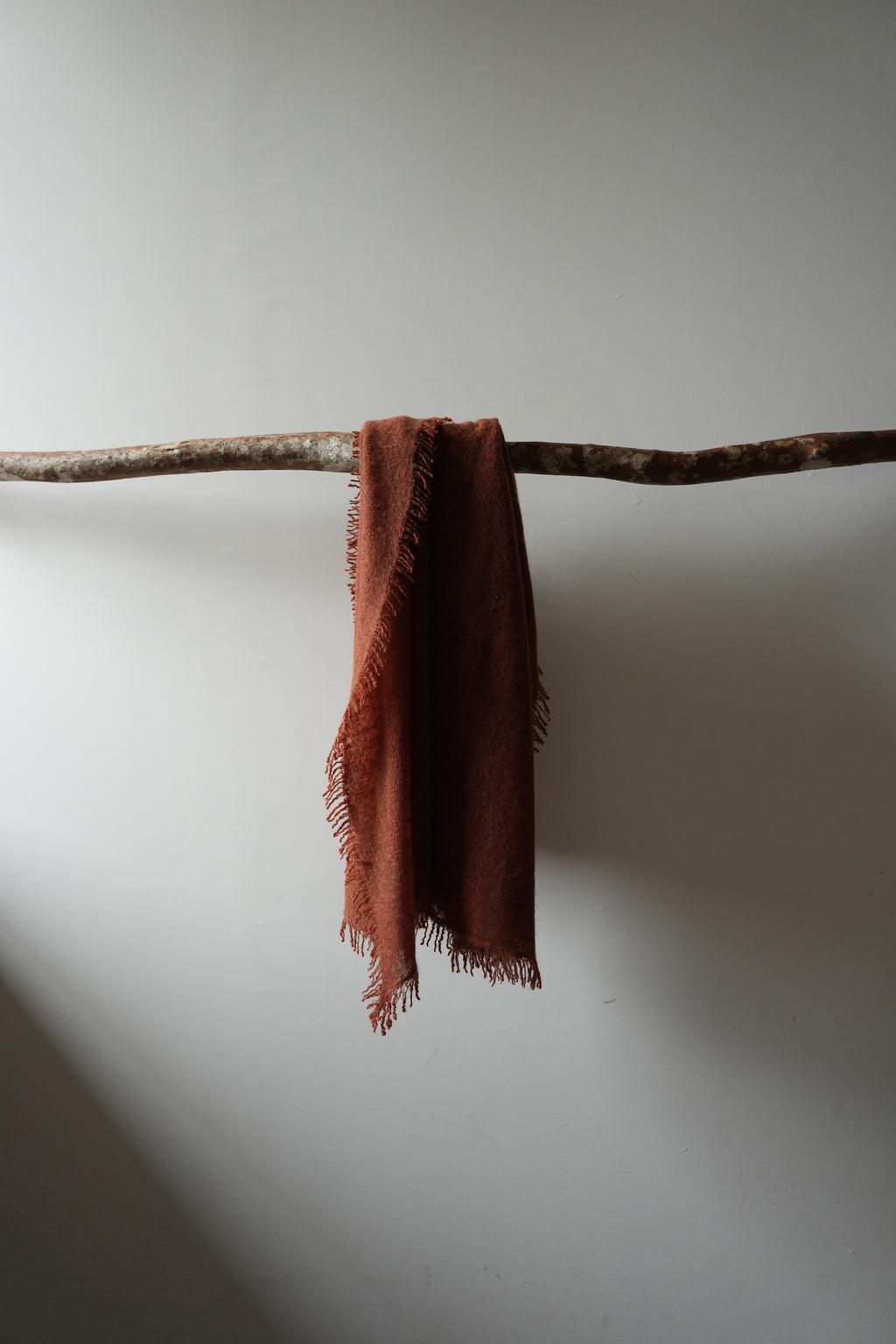 KIRAN-巴克塔普爾磚