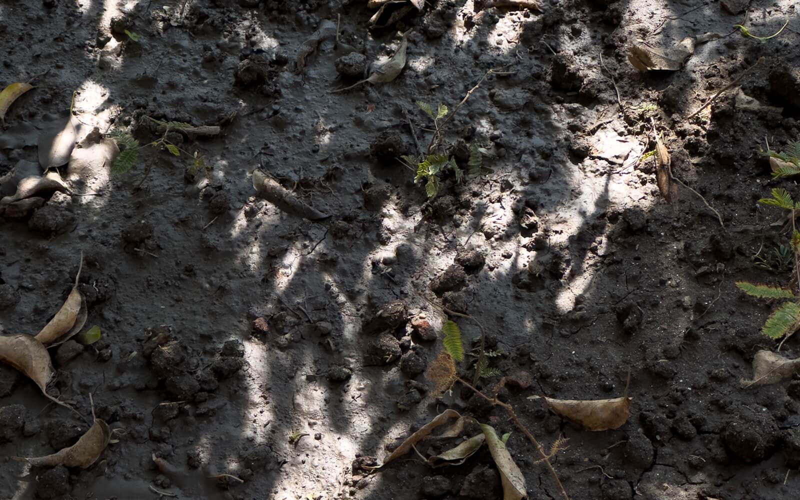 我們是 soil select